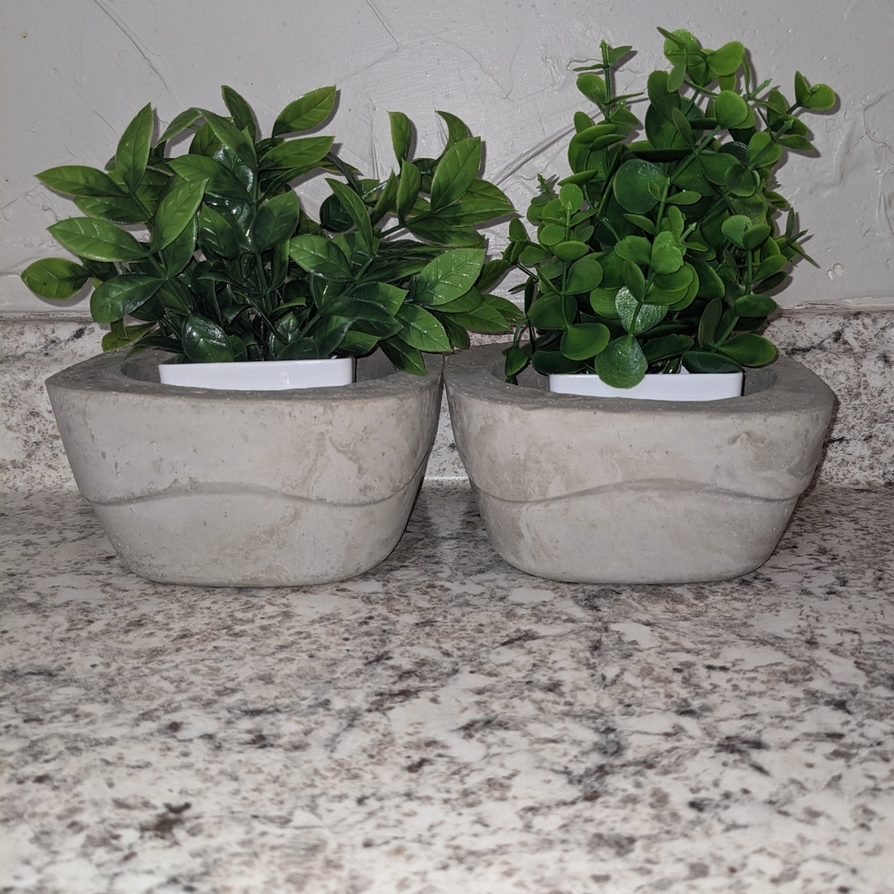 Cement Planters